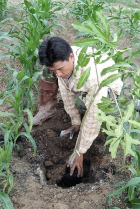 Environmental Impact: